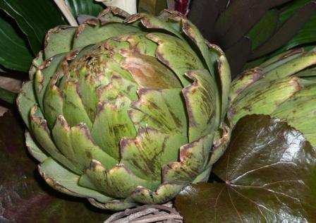 Artichoke Recipes. Blog with adult tastes in with roasted jerusalemfrom 