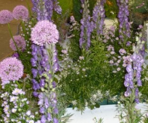 mauve-garden