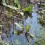 waterlogged garden