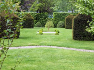 Creating A Focal Point in Your Garden – Gardeners Tips