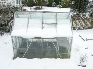 white-greenhouse