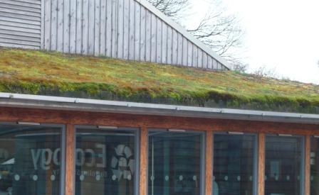 grass-roof